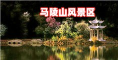 草死你色导航